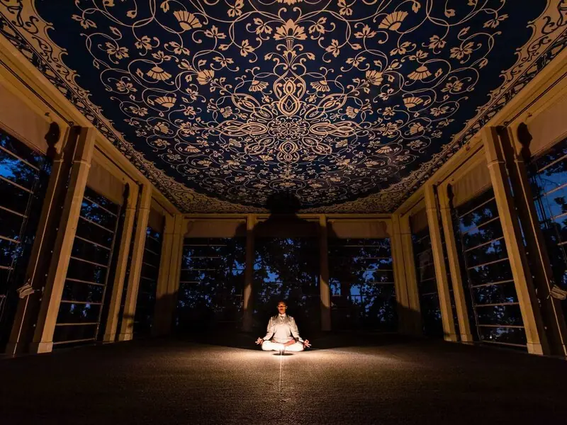 Ananda in the Himalayas